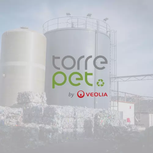 TorrePET plant picture 7